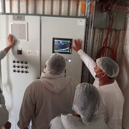 Ingeniería Eléctrica avicola y porcícola