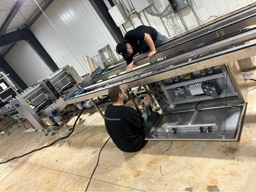 ingeniería eléctrica para la industria avícola