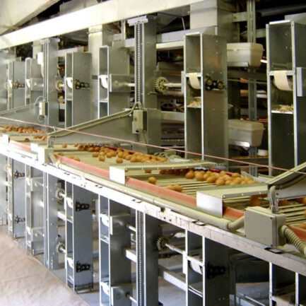 Lifter - Recogida de huevos