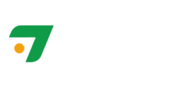 Tavsan
